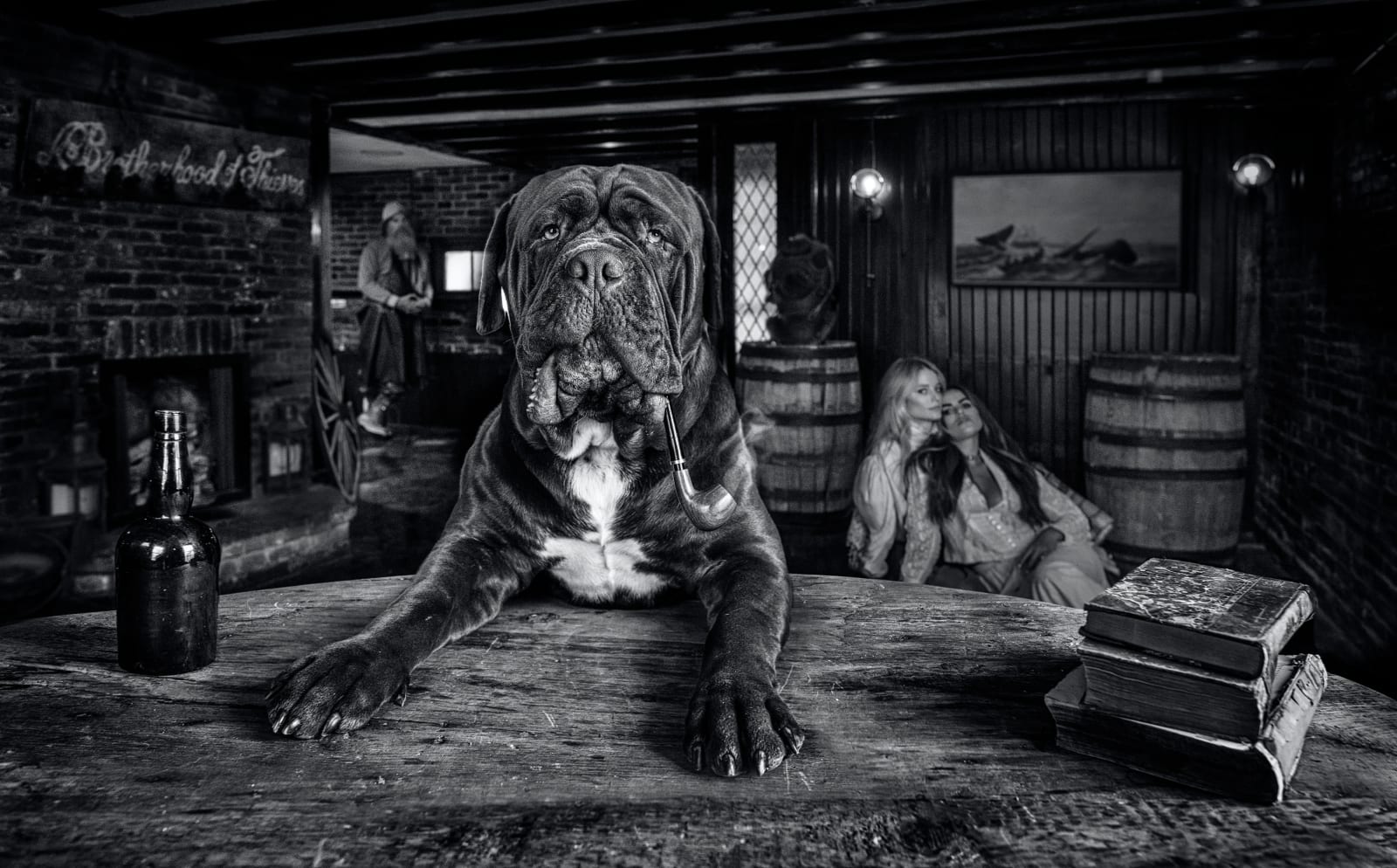 David Yarrow, The Dogfather