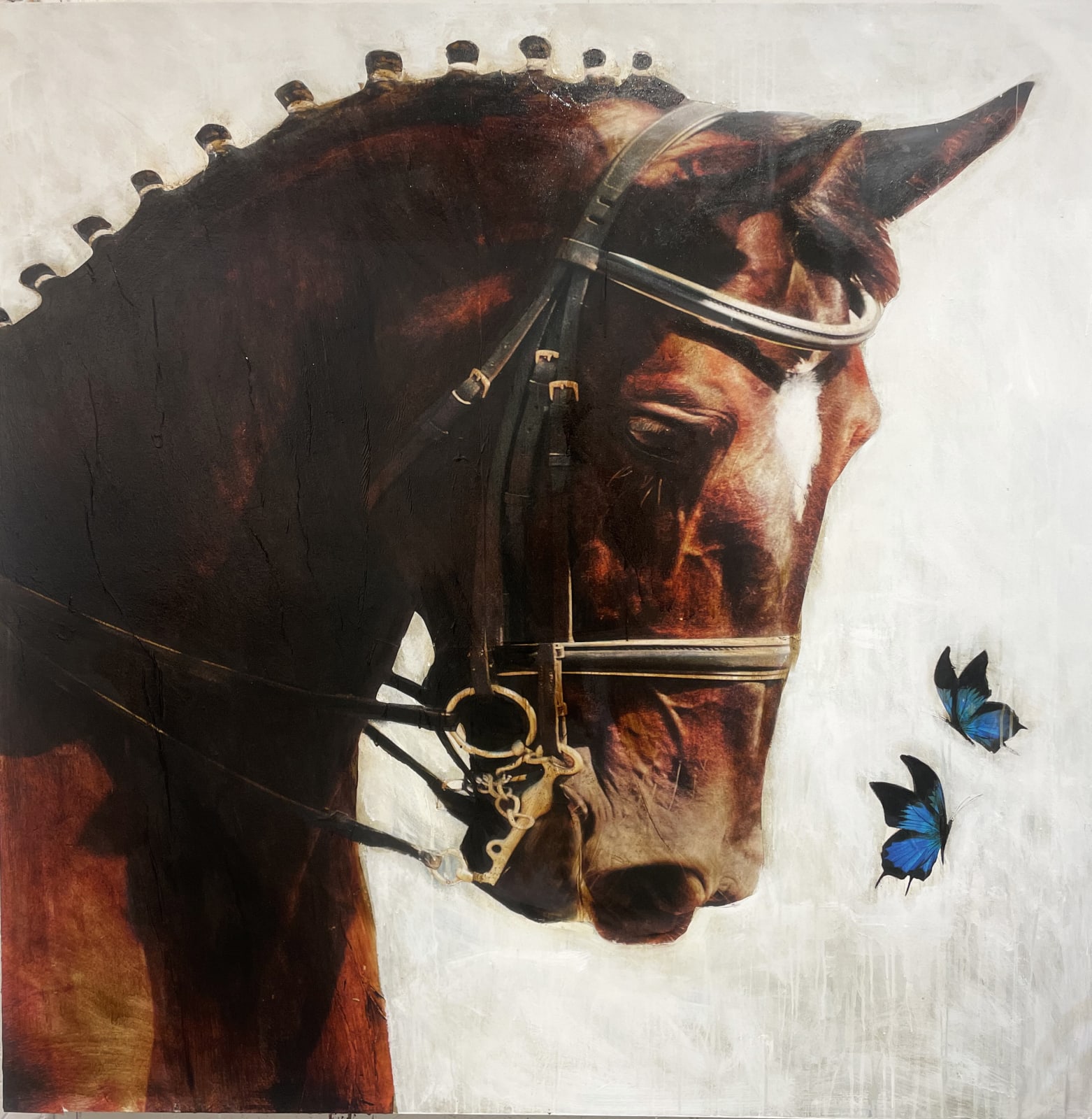 Anke Schofield, Regal Stance