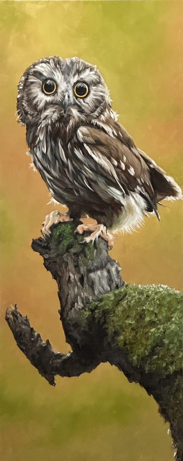 Doug Behm, Little Hoot