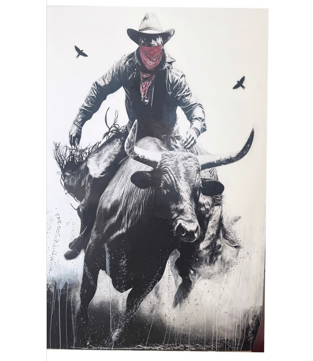 Anke Schofield, Bandit