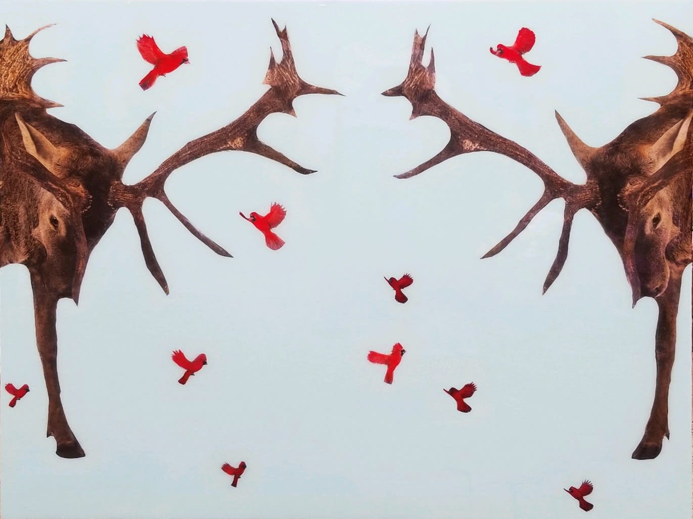 Anke Schofield, Lil Red Birds Part 2