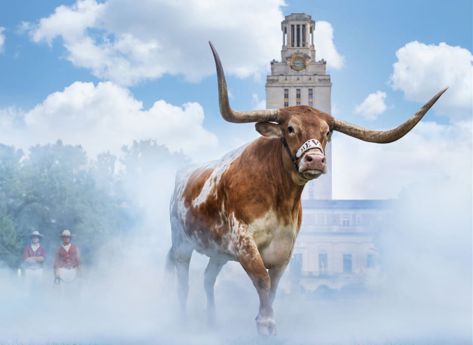 David Yarrow, Hook ‘em Horns (Color)