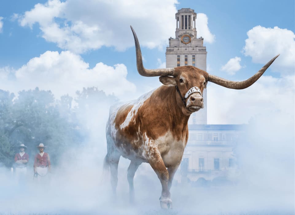 David Yarrow, Hook ‘em Horns (Color)