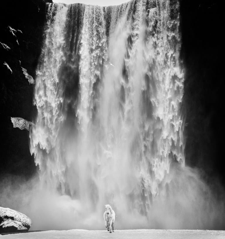 David Yarrow, Norse