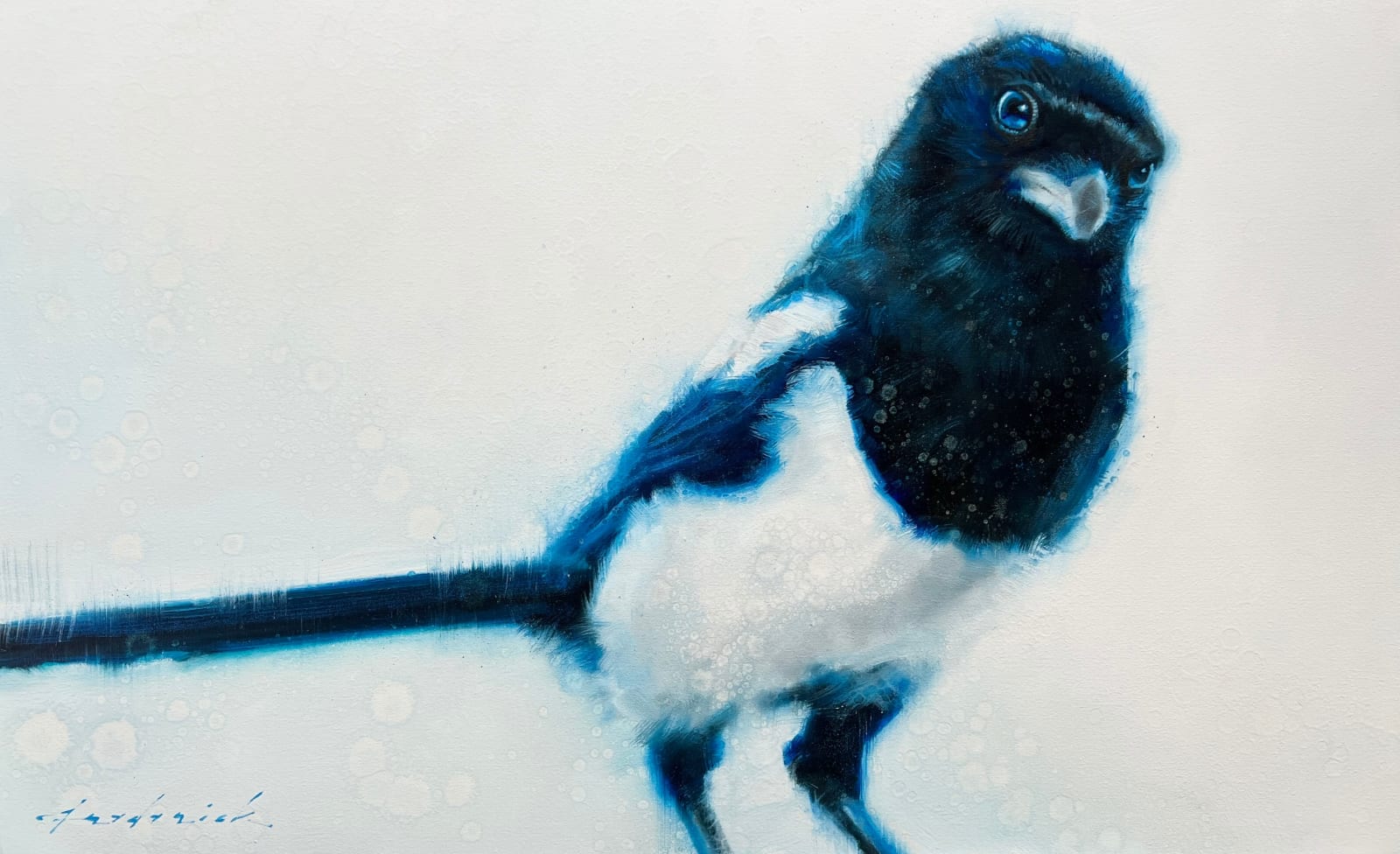 David Riley, Mr Magpie