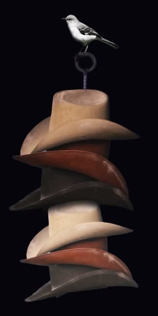 Anke Schofield, Mocking Bird