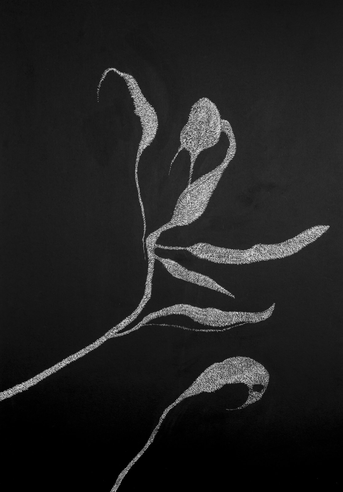 Alina Aldea, Secret Garden 03, 2019