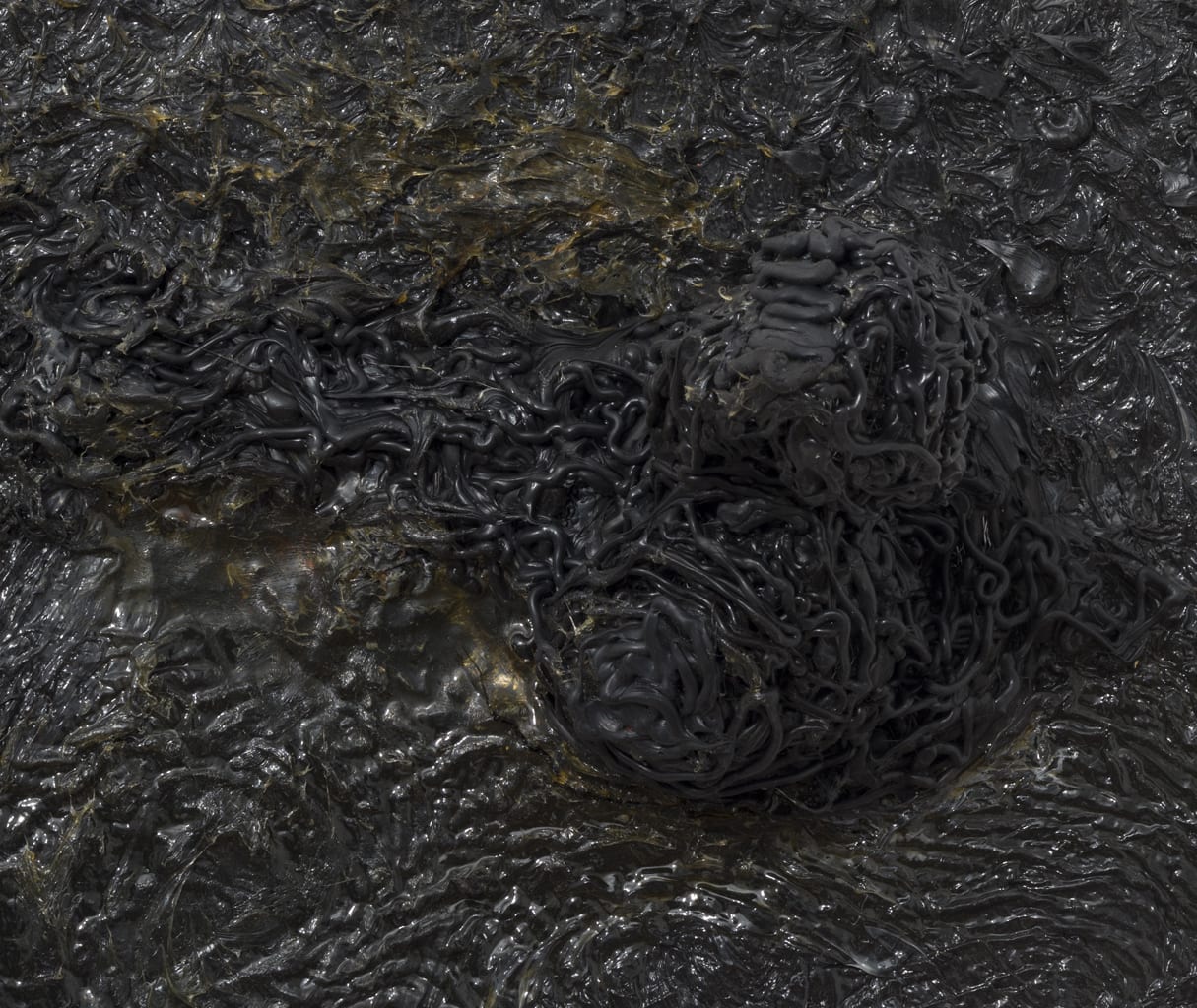 Zsolt Berszán, Untitled 01, 2015-2016