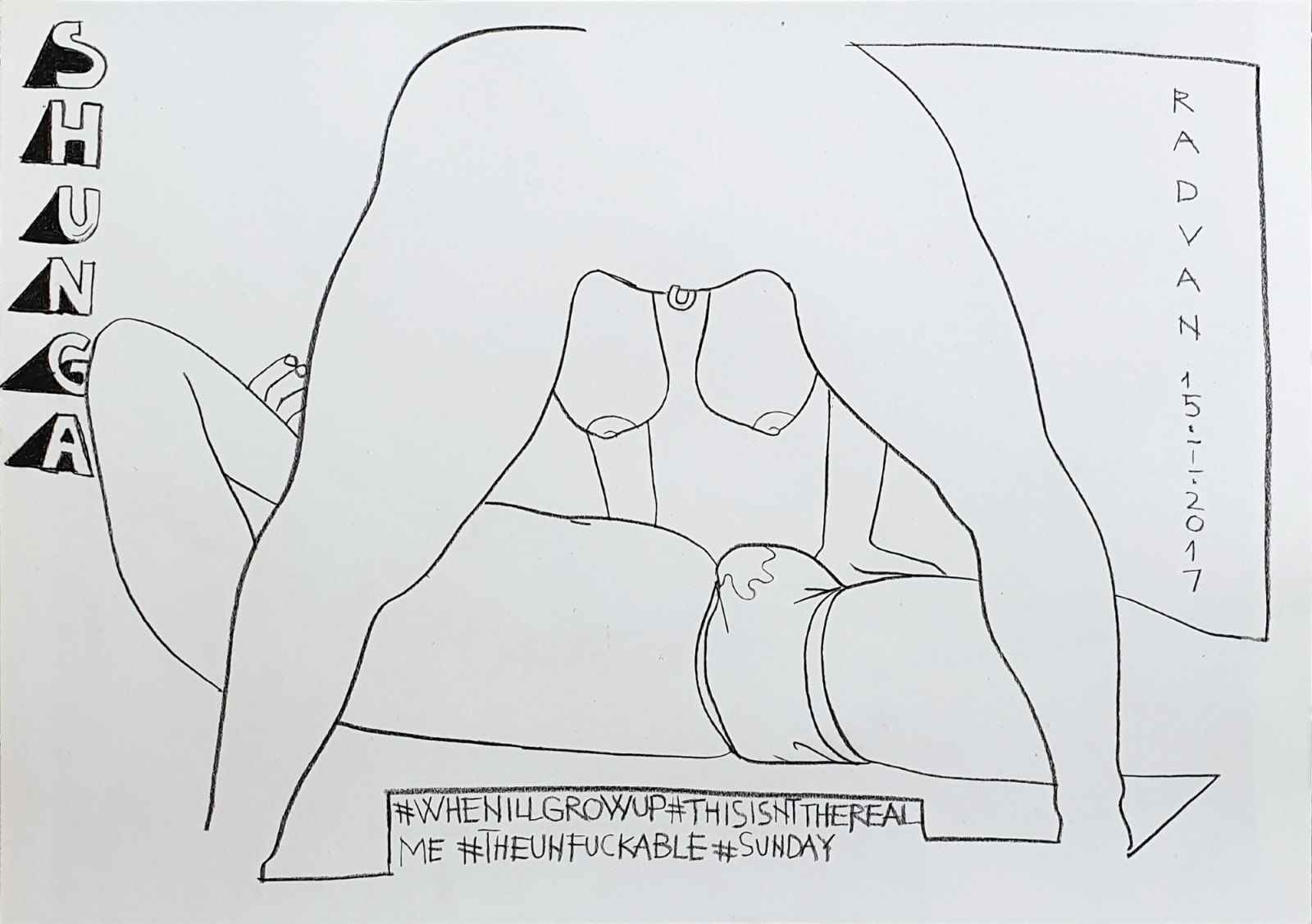 Alexandru Rădvan, Acid Shunga #1, 2017