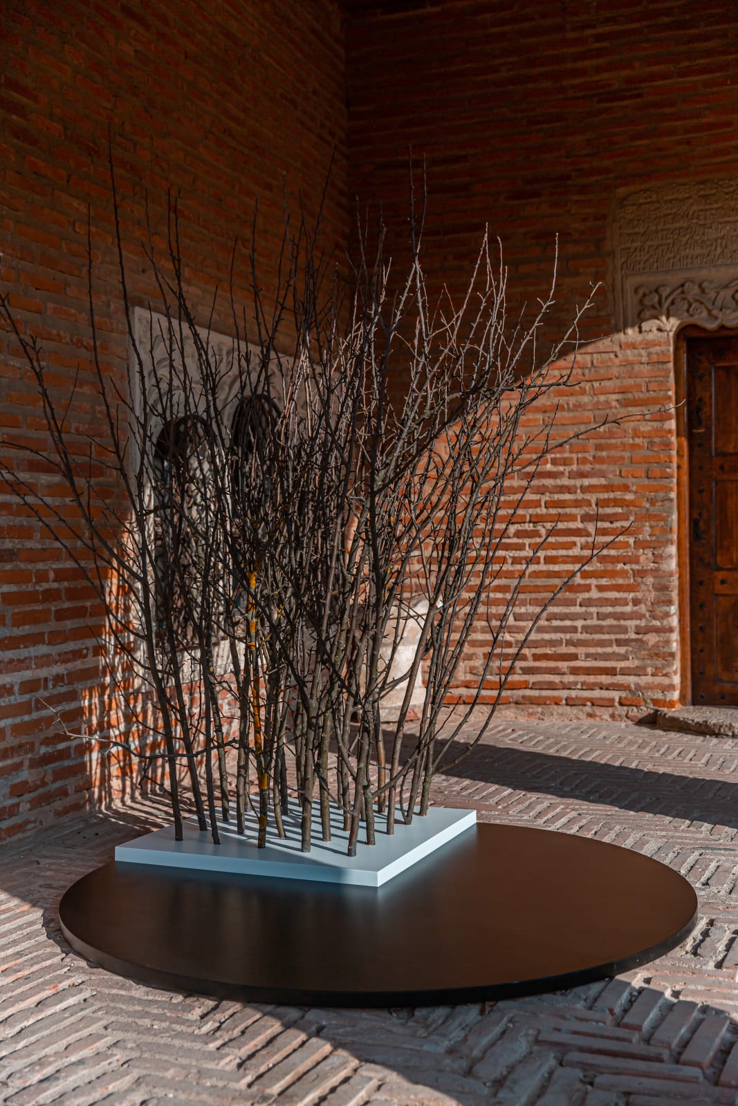 Alina Aldea, Q 02, 2019