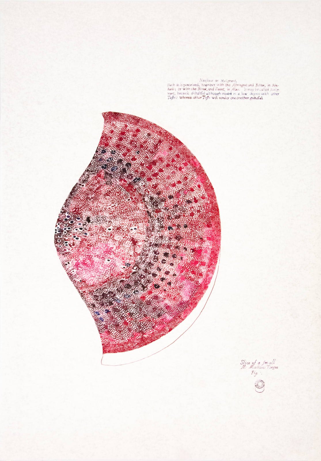 Sarasija Subramanian, Anatomy of Plants / Mallow Tongue, 2020-22