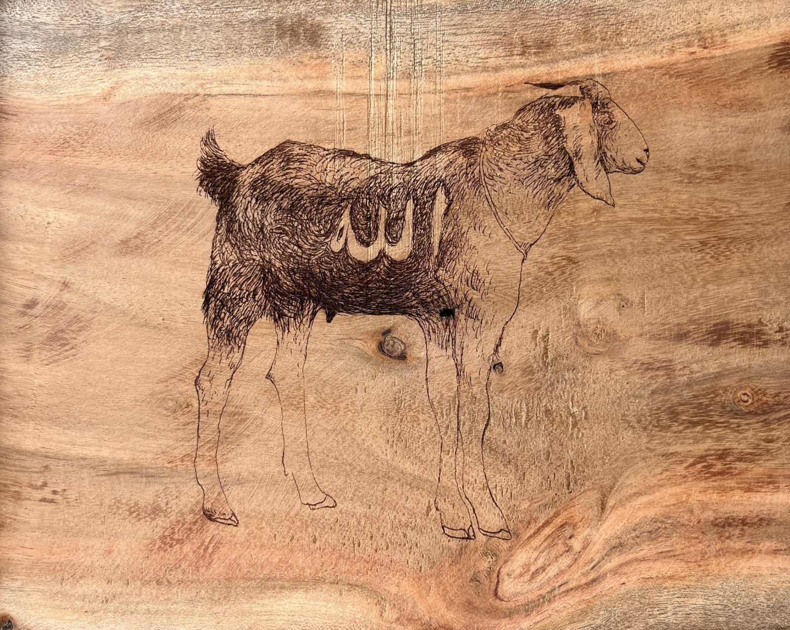 Hasanali Kadiwala, Untitled 1, 2024