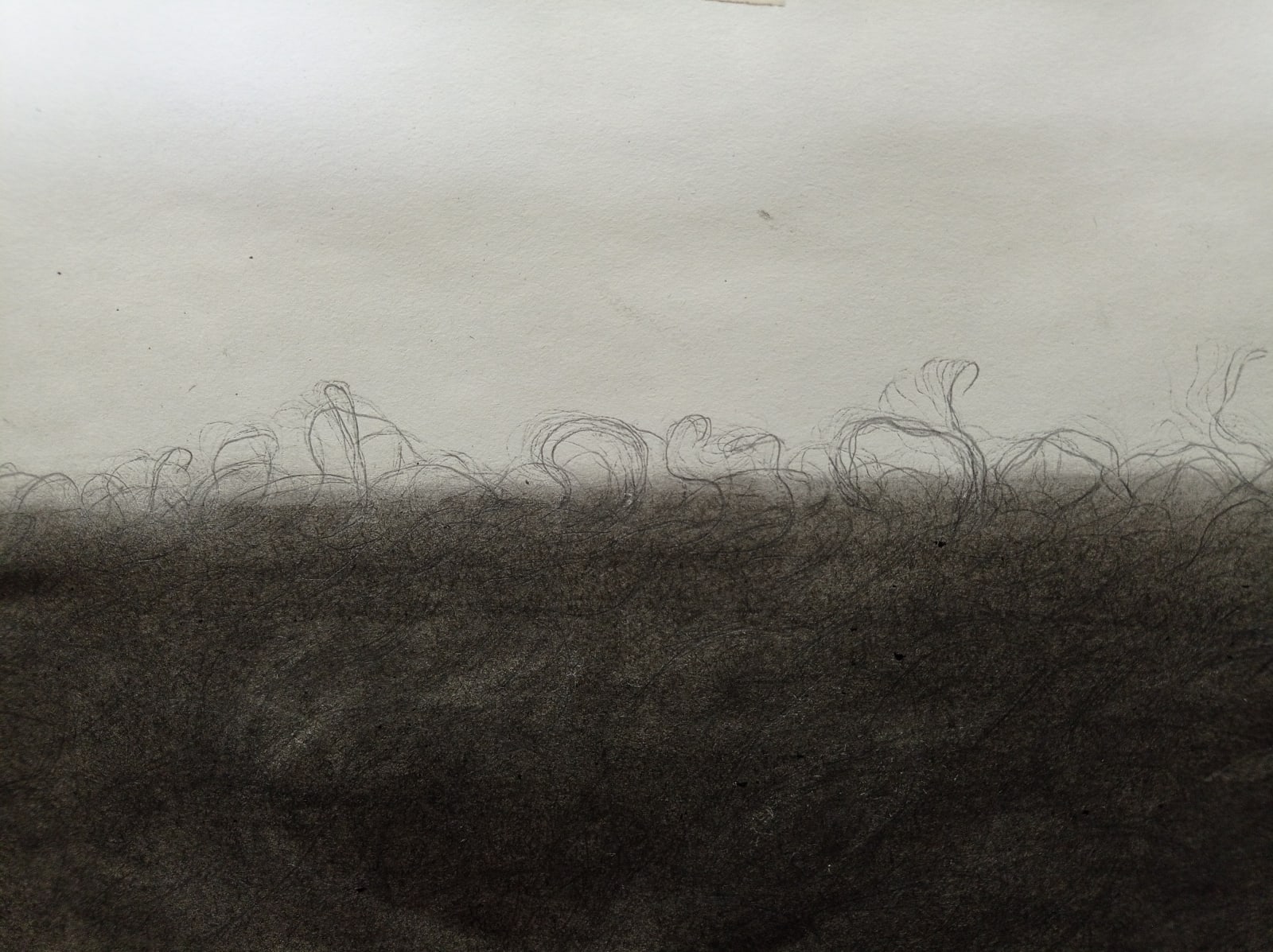 Ritwika Ganguly, June 13 - Air, 2024