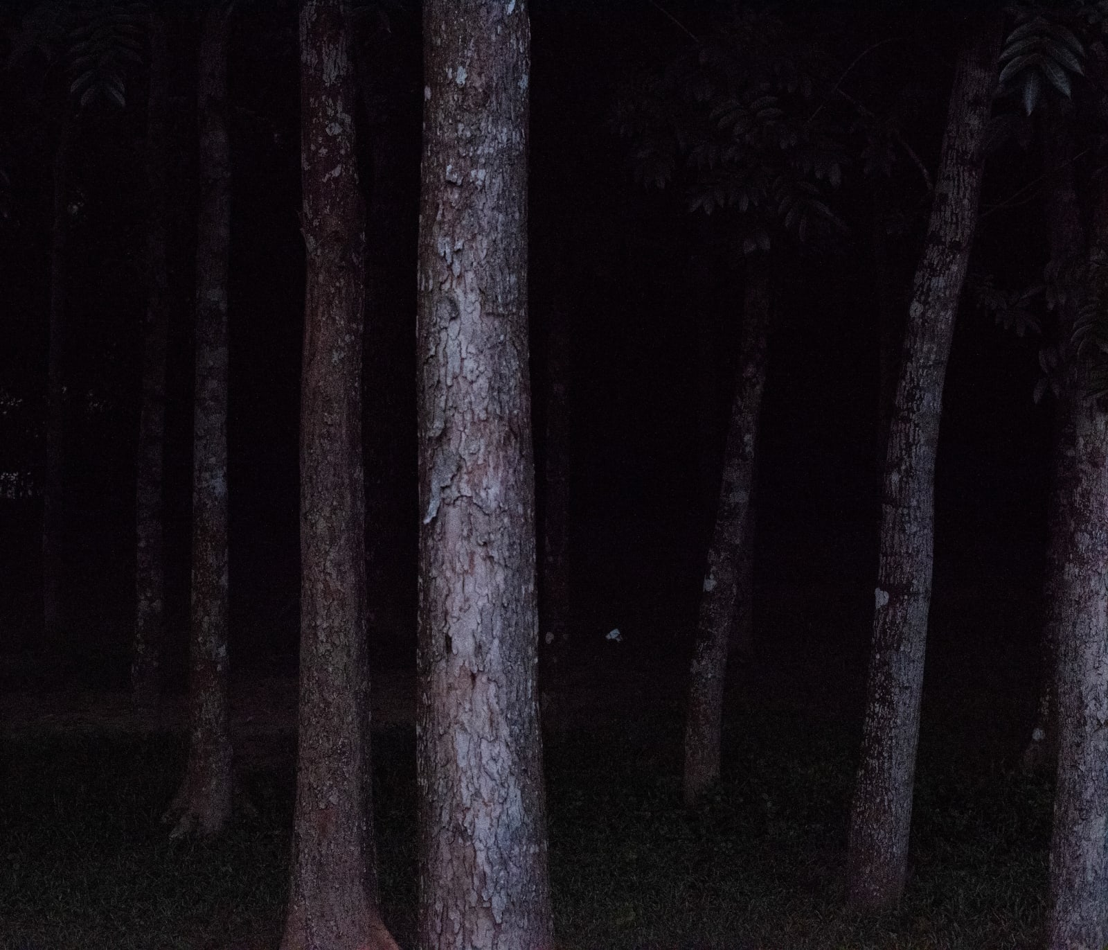 Ashfika Rahman, Files of the Disappeared, 2018 - Ongoing