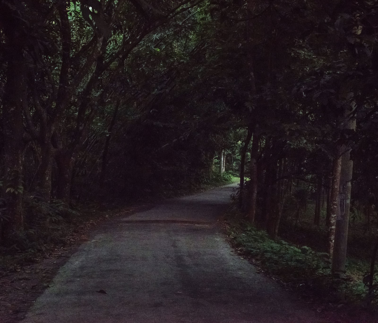 Ashfika Rahman, Files of the Disappeared, 2018 - Ongoing