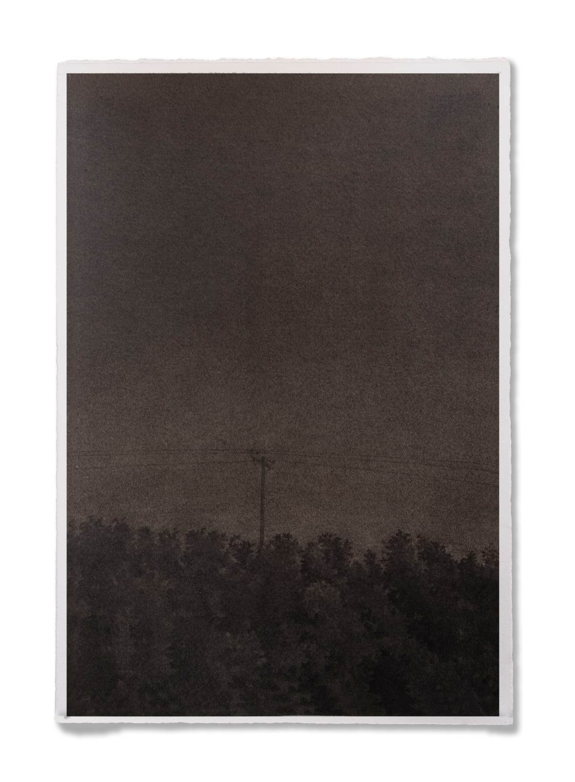 Sketched on a coffee-stained paper with graphite pencil, Irfan Channa, artist from Pakistan, imagines landscapes inspired by nature and explores deep connect with ecology