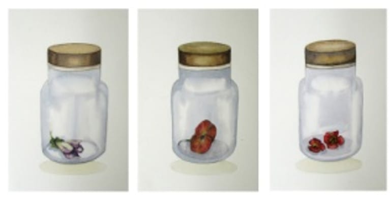 Manisha Agrawal, Flowers-Going to dies-1, 2018