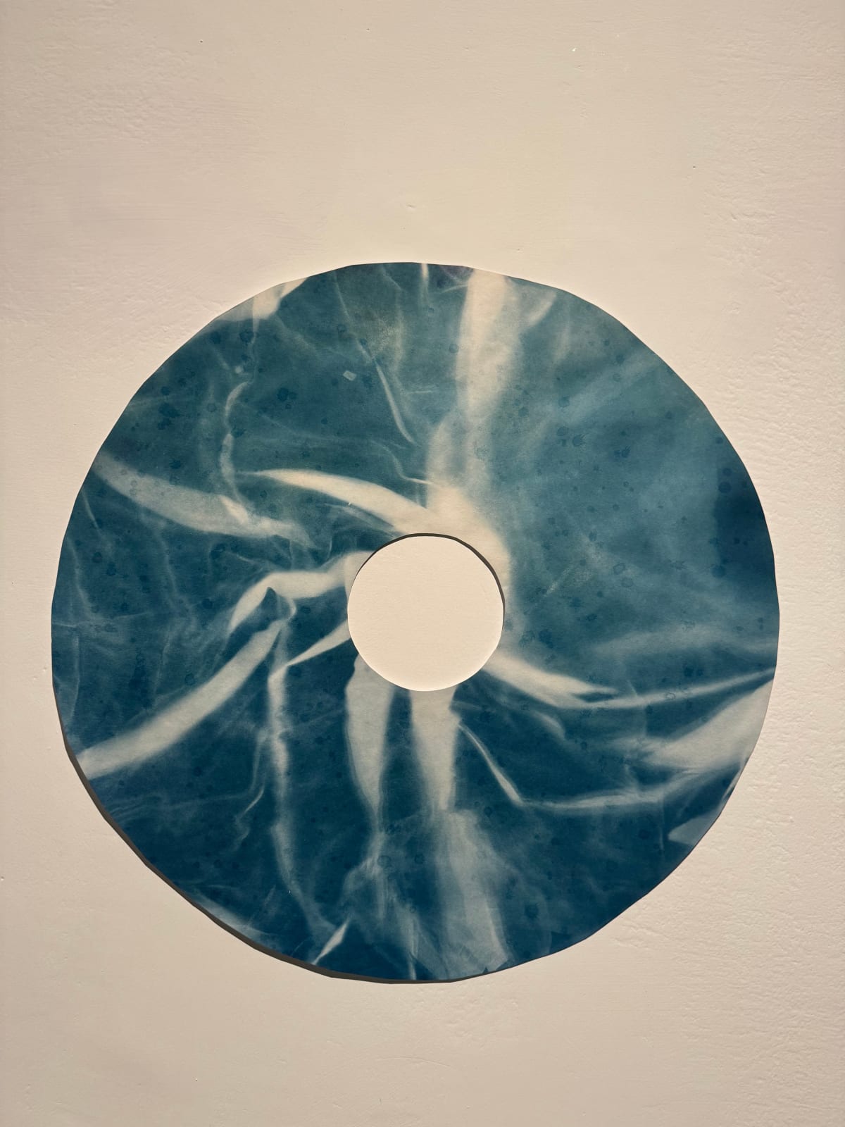 Sanaa Aggarwal, Iris (Shorelines), 2024