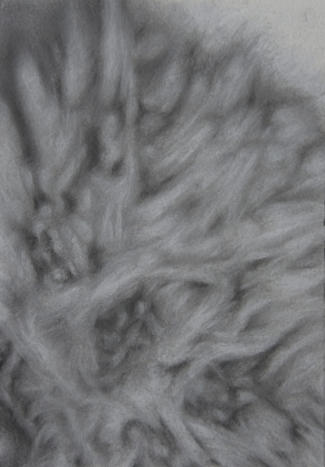 Bhimanshu Pandel, Samajhani - Rohi Ki Chitar (6), 2021