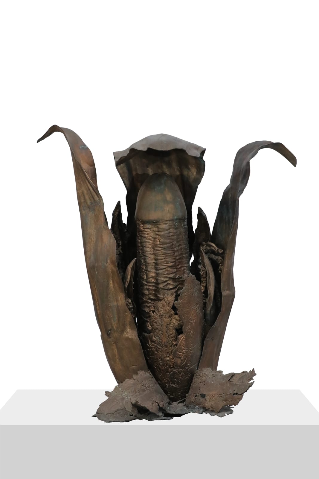 Mrinalini Mukherjee, Shivling, 2014