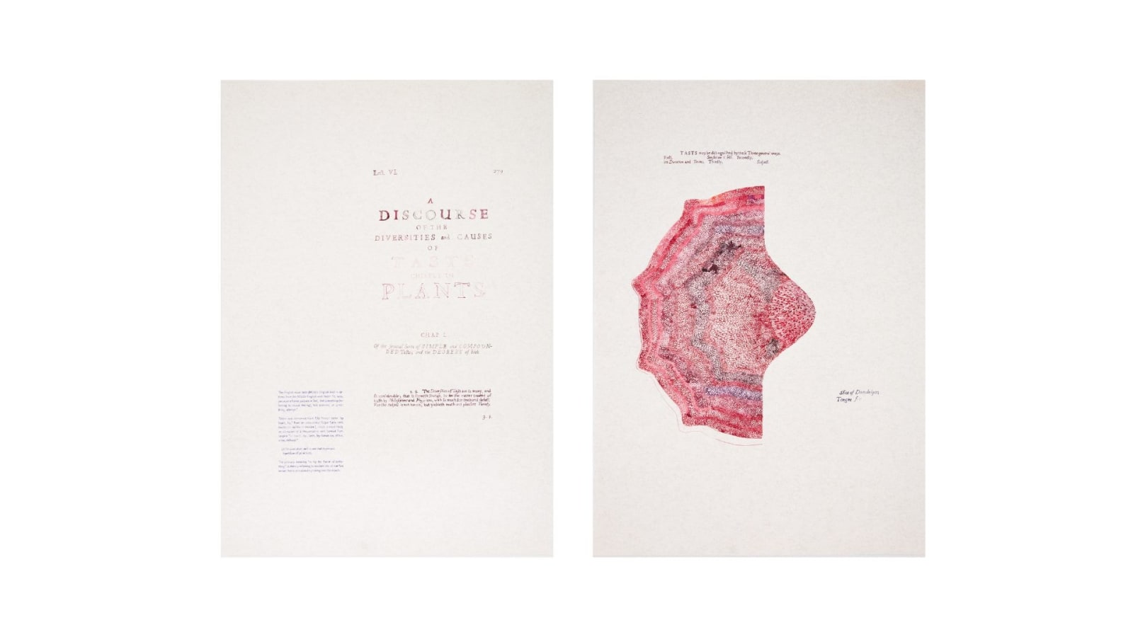 Sarasija Subramanian, Anatomy of Plants / Dandelyon Tongue, 2020-22
