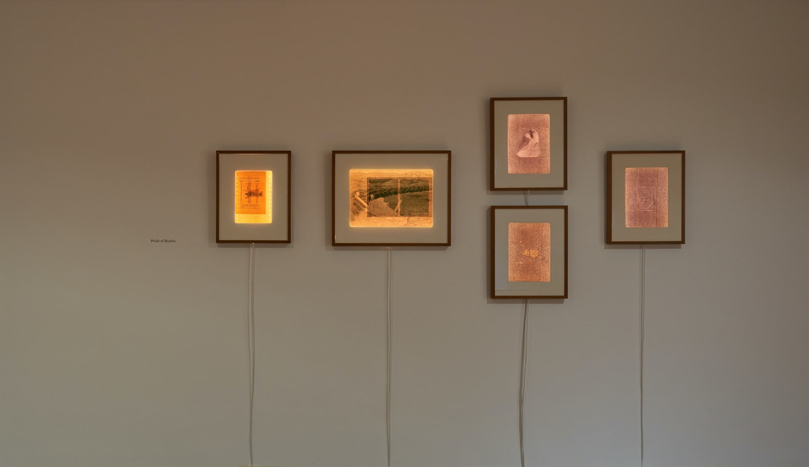 Garima Gupta, Pride of Bulolo (Set of 5), 2020