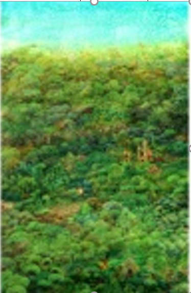 Laxmipriya Panigrahi, Land of Happiness, 2019