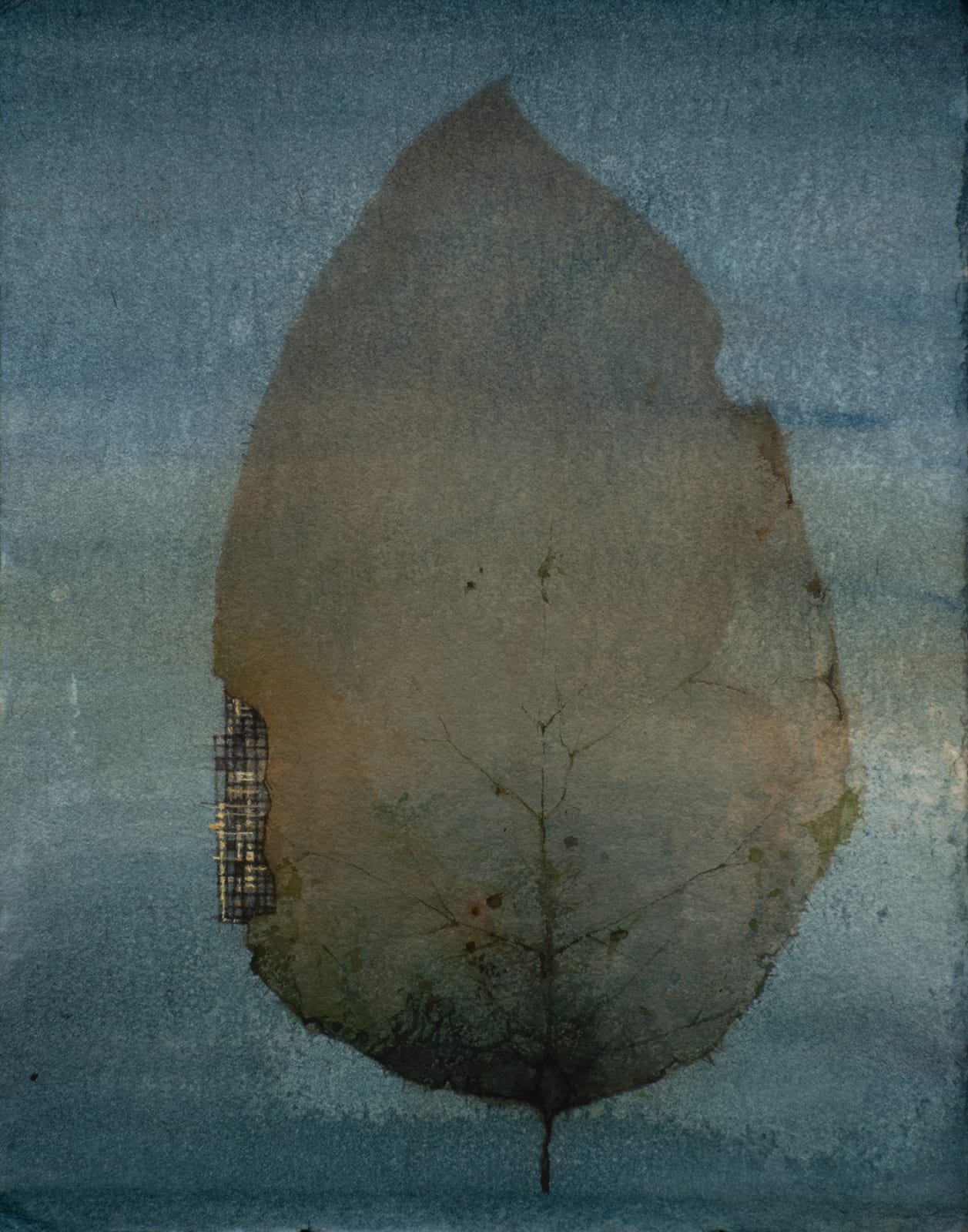An enlarged leaf made with watercolour