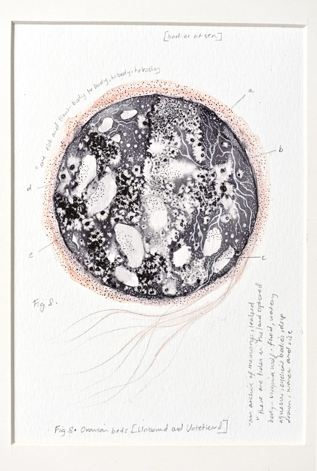 Devika Sundar, Ovarian beds 1.2 / Unbound and Untethered, 2022