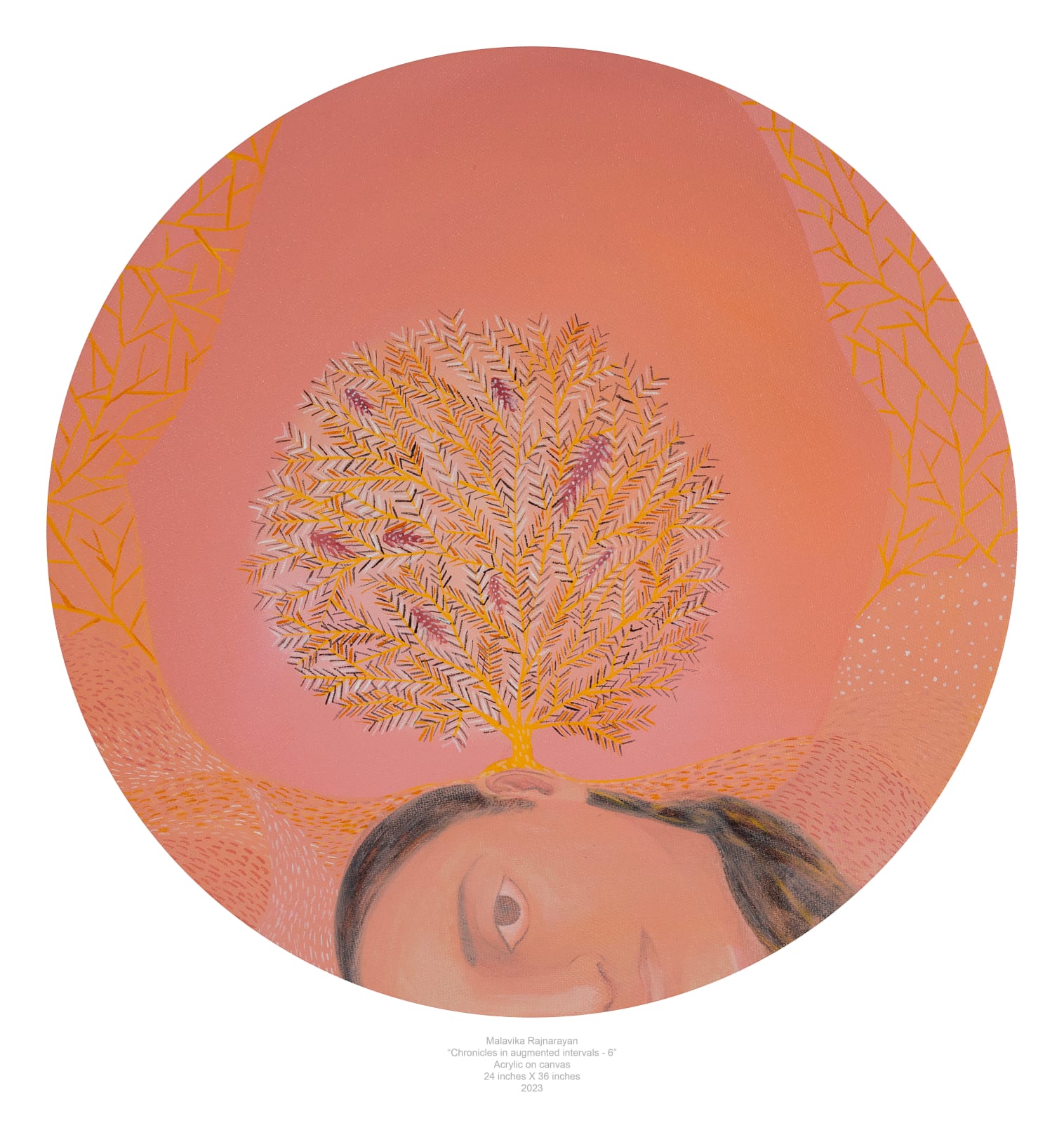 Malavika Rajnarayan, Chronicles in Augmented Intervals 6 , 2023