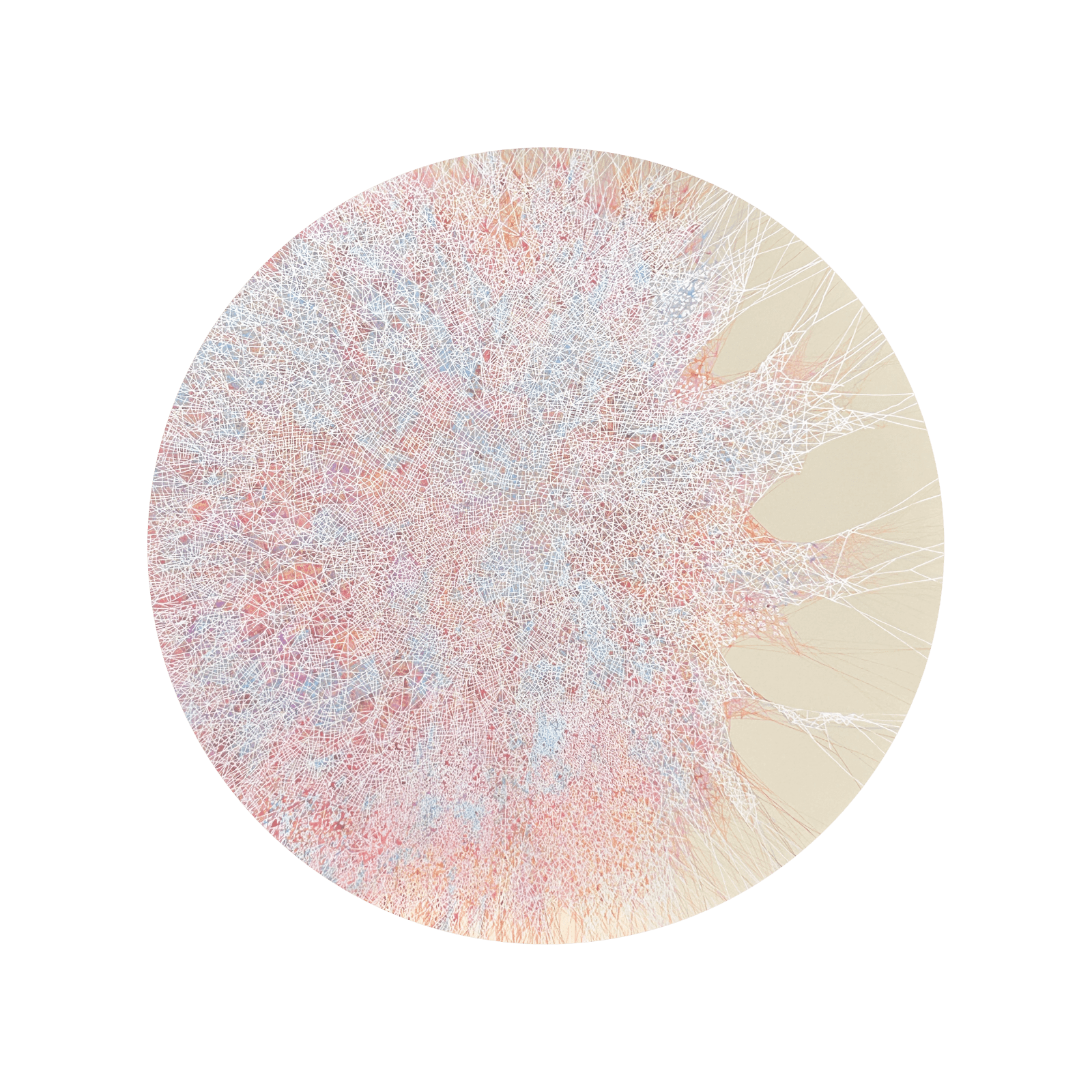 Dhara Mehrotra, Coalesced X, 2024