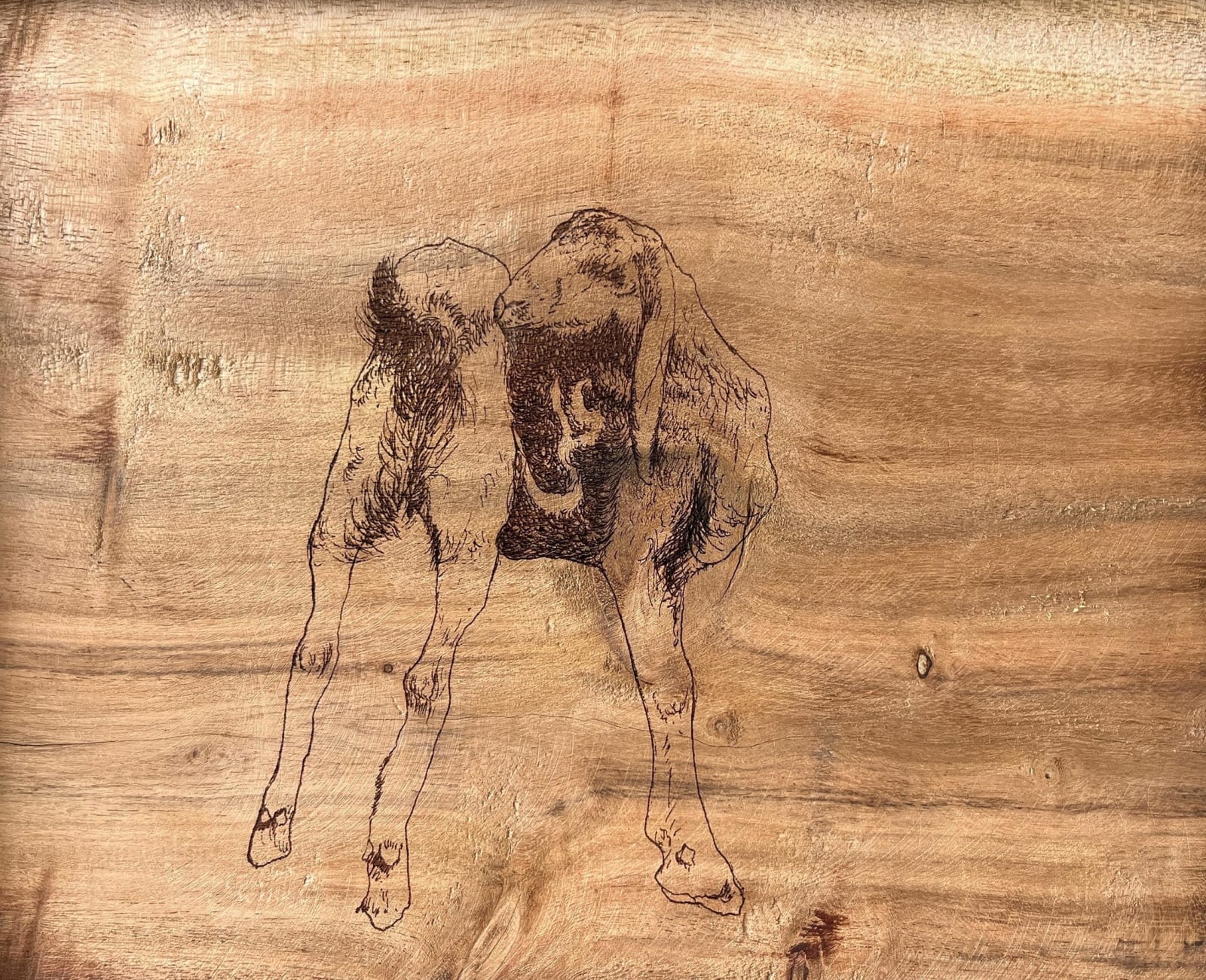 Hasanali Kadiwala, Untitled 6, 2024
