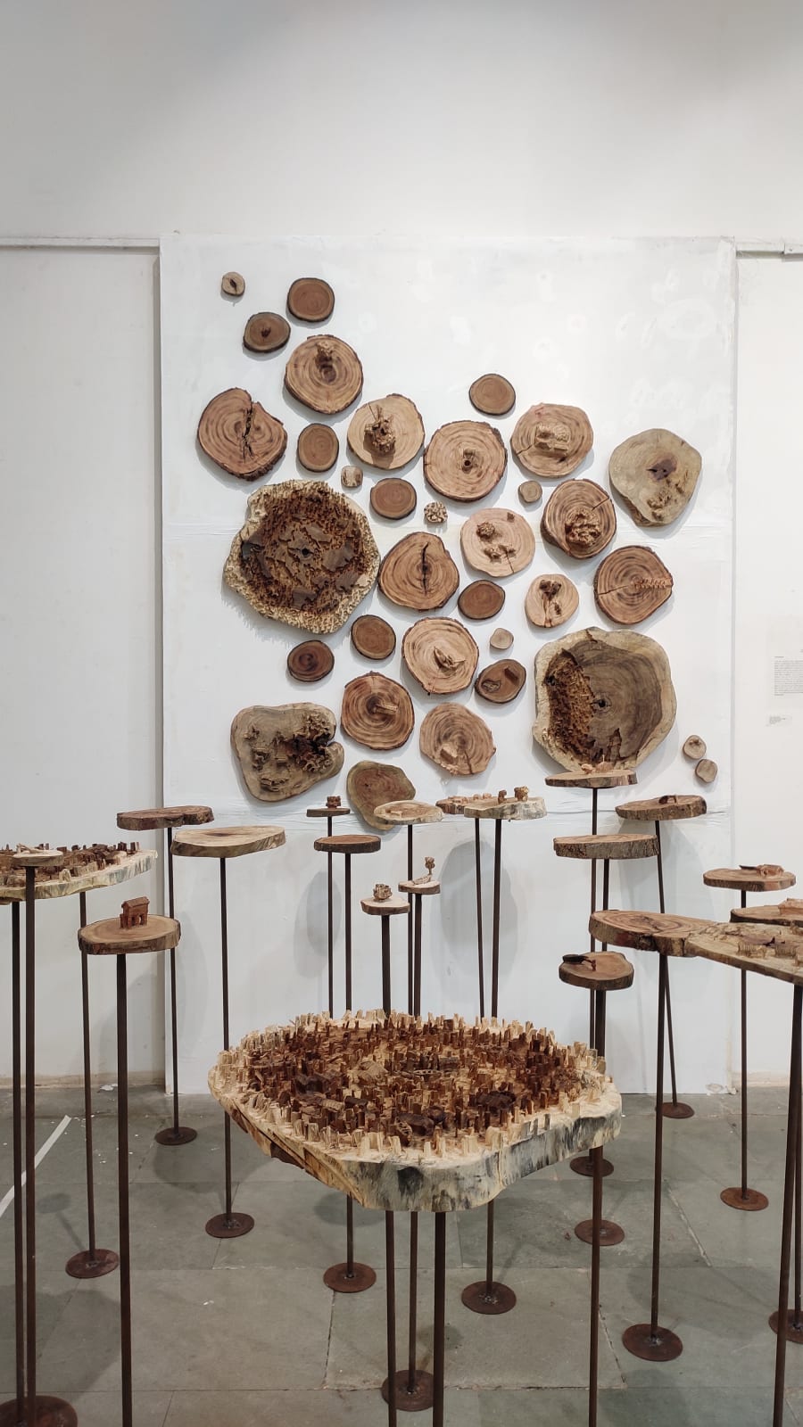 Bilas Mandal, Living in the water - I, 2022