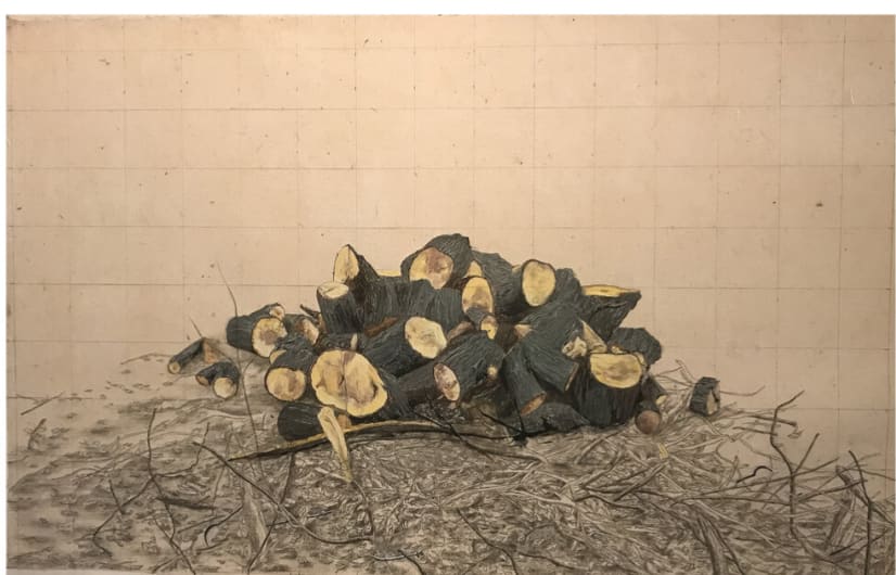 Sajeev Visweswaran, Aftermath, 2017