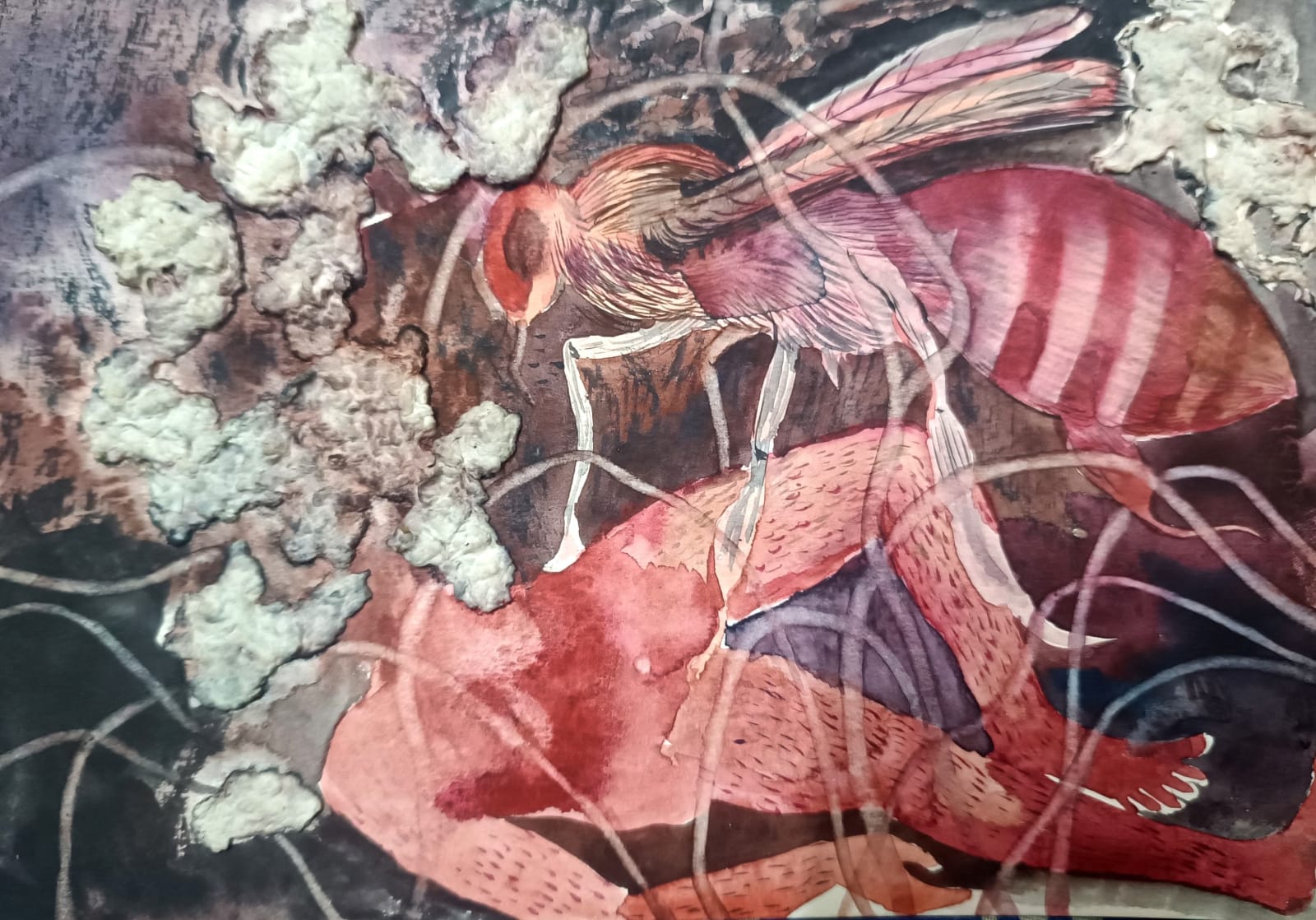 Sudeshna Nandi, Untitled, 2025