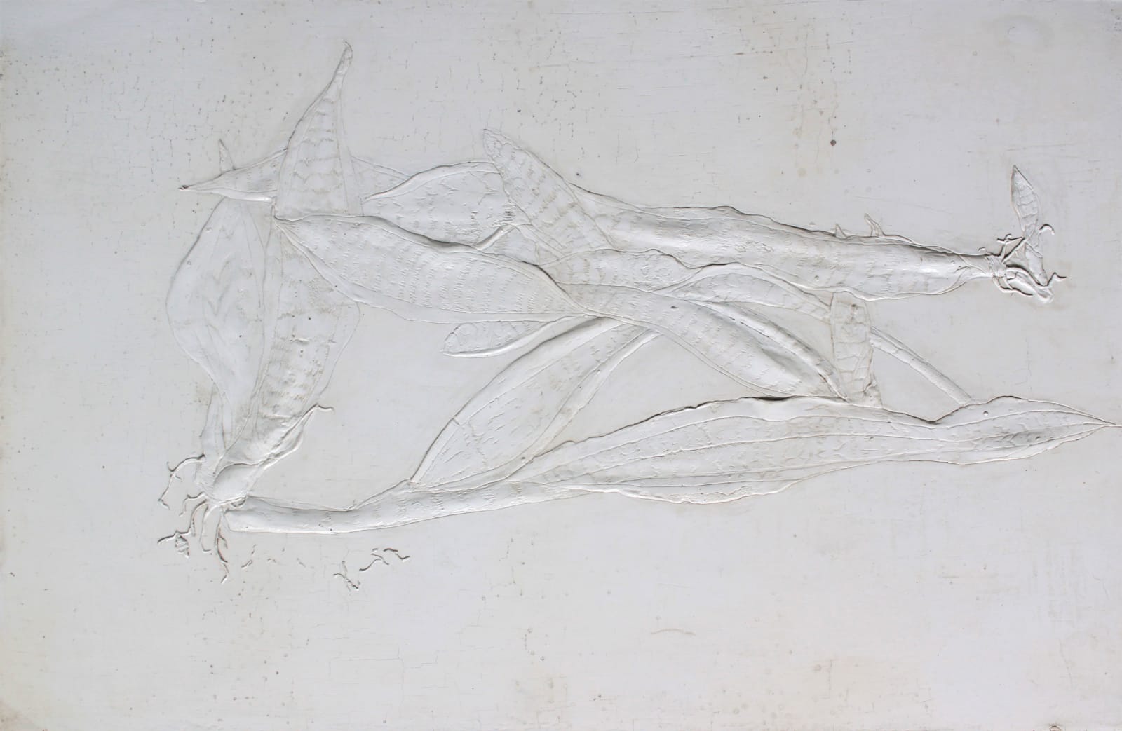 Pritish Bali, Untitled, 2020