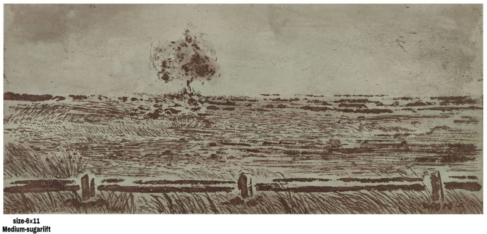 Janhavi Singhania, Untitled, 2022