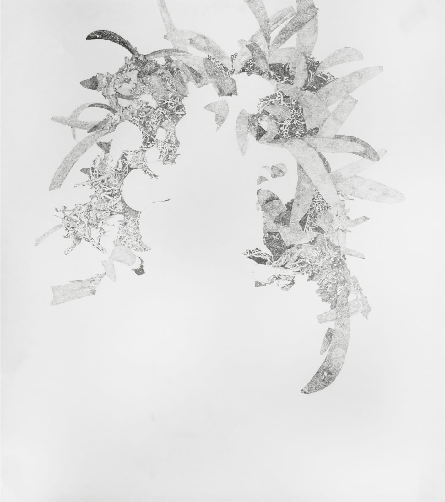 Sarasija Subramanian, Lily , 2025