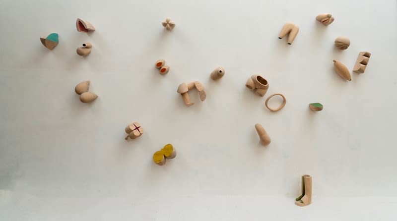 Arti Vijay Kadam, Toys