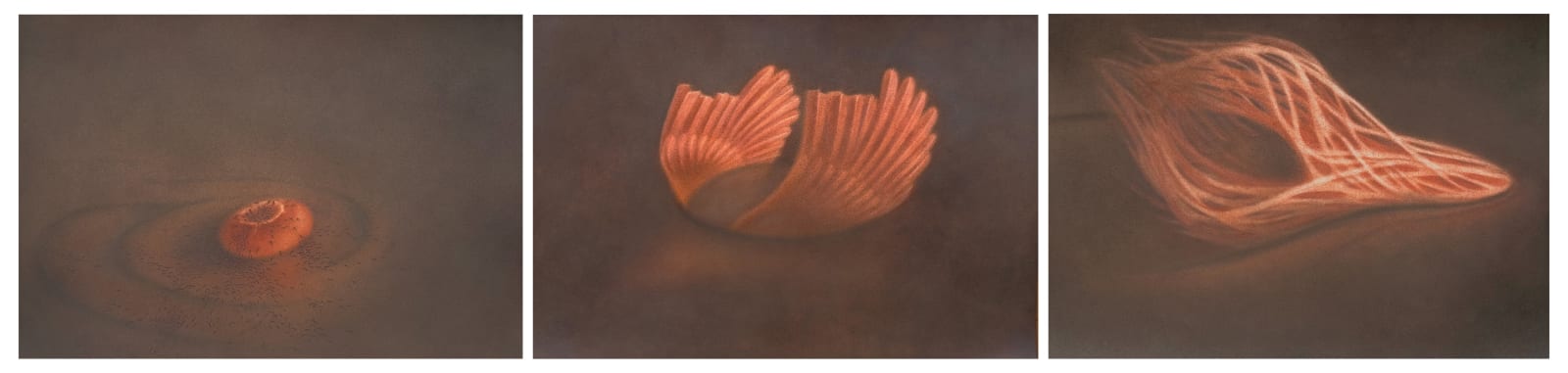 Garima Gupta, Morning After the Flood (Set of 3), 2024