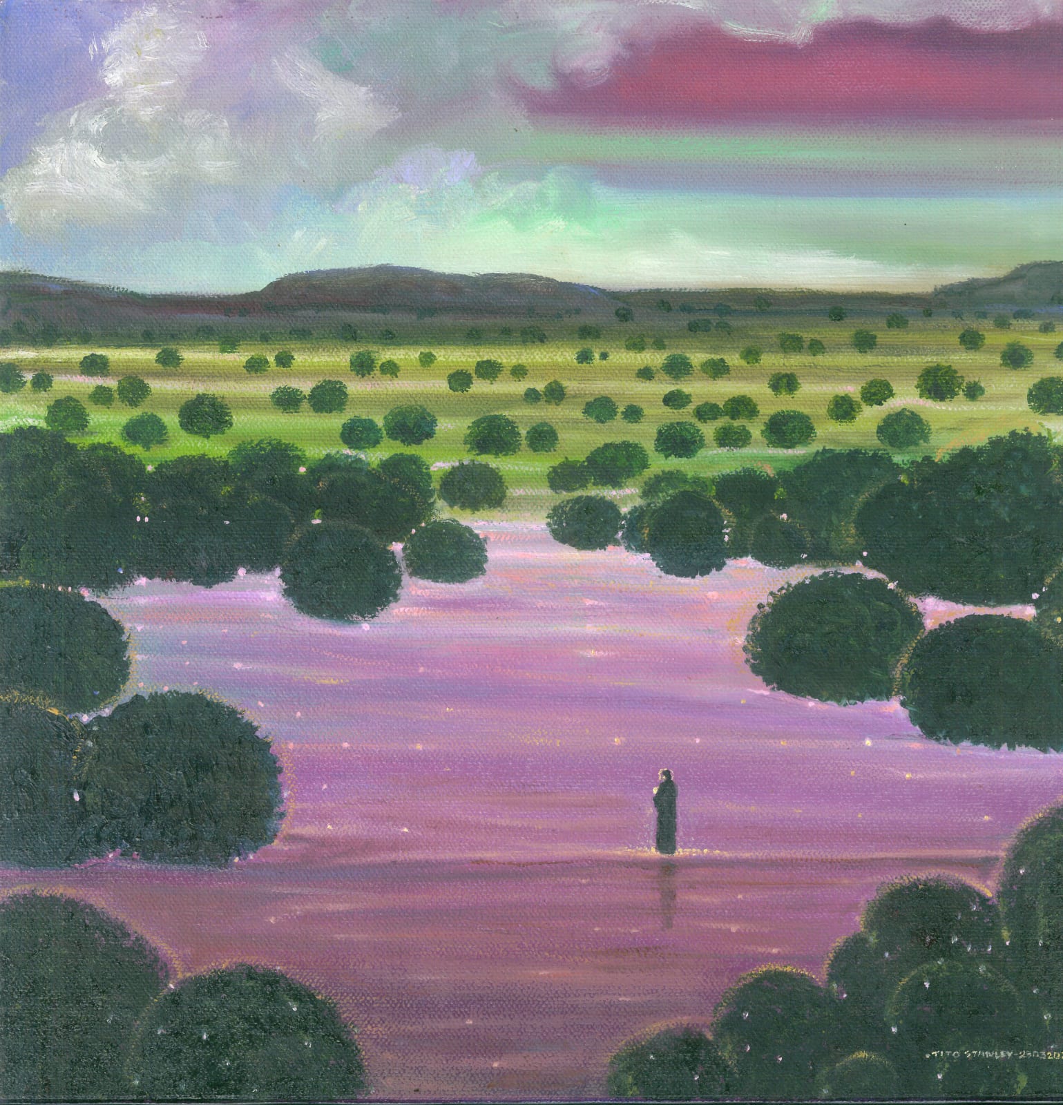 Tito Stanley SJ, Searching for your bird., 2025