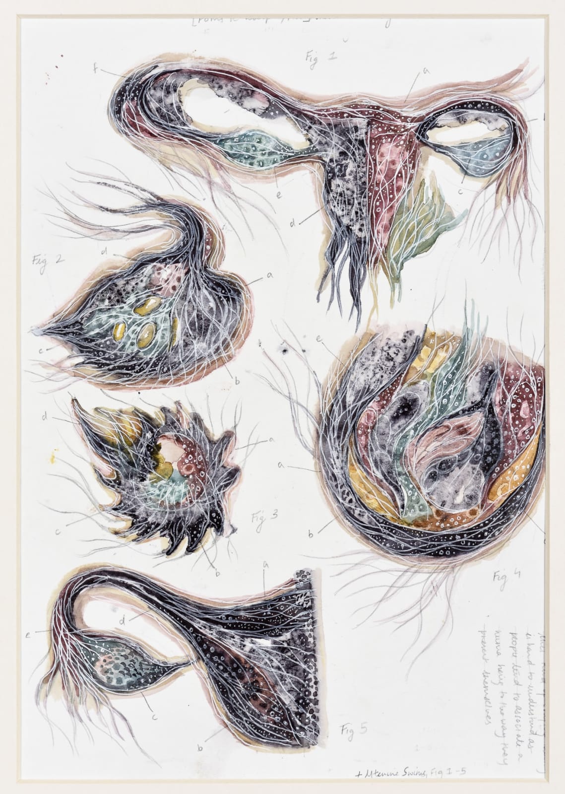 Devika Sundar, Cross sections, Uterine Swims 1.2 / Unbound and Untethered, 2020
