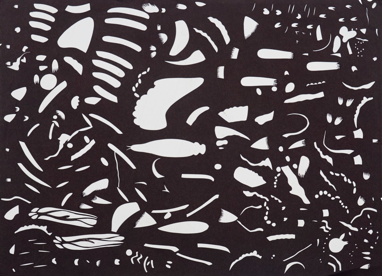 Nibha Sikander, Negative 2, 2019