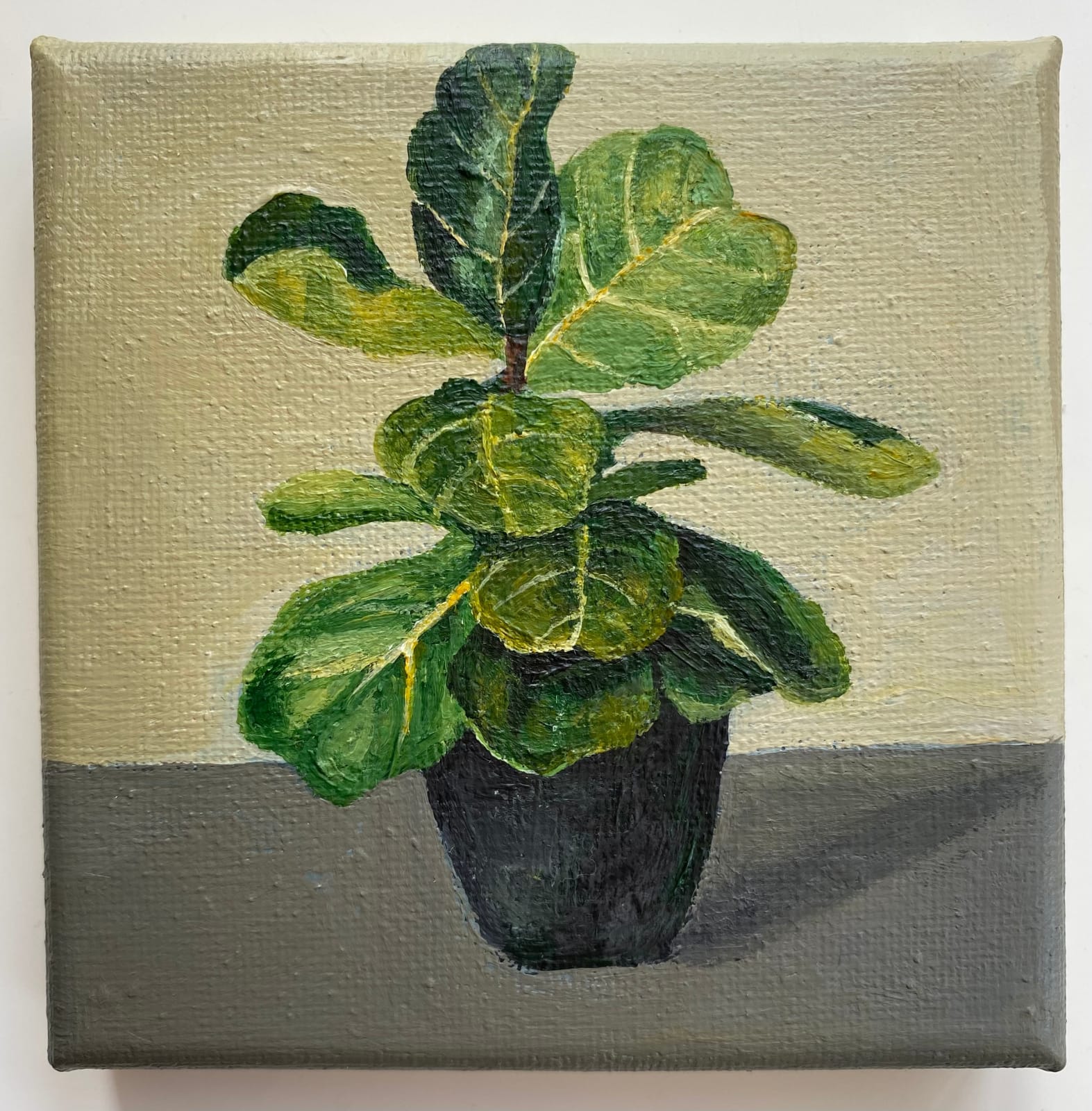 Emily Anastasi, Fiddle Leaf , 2021