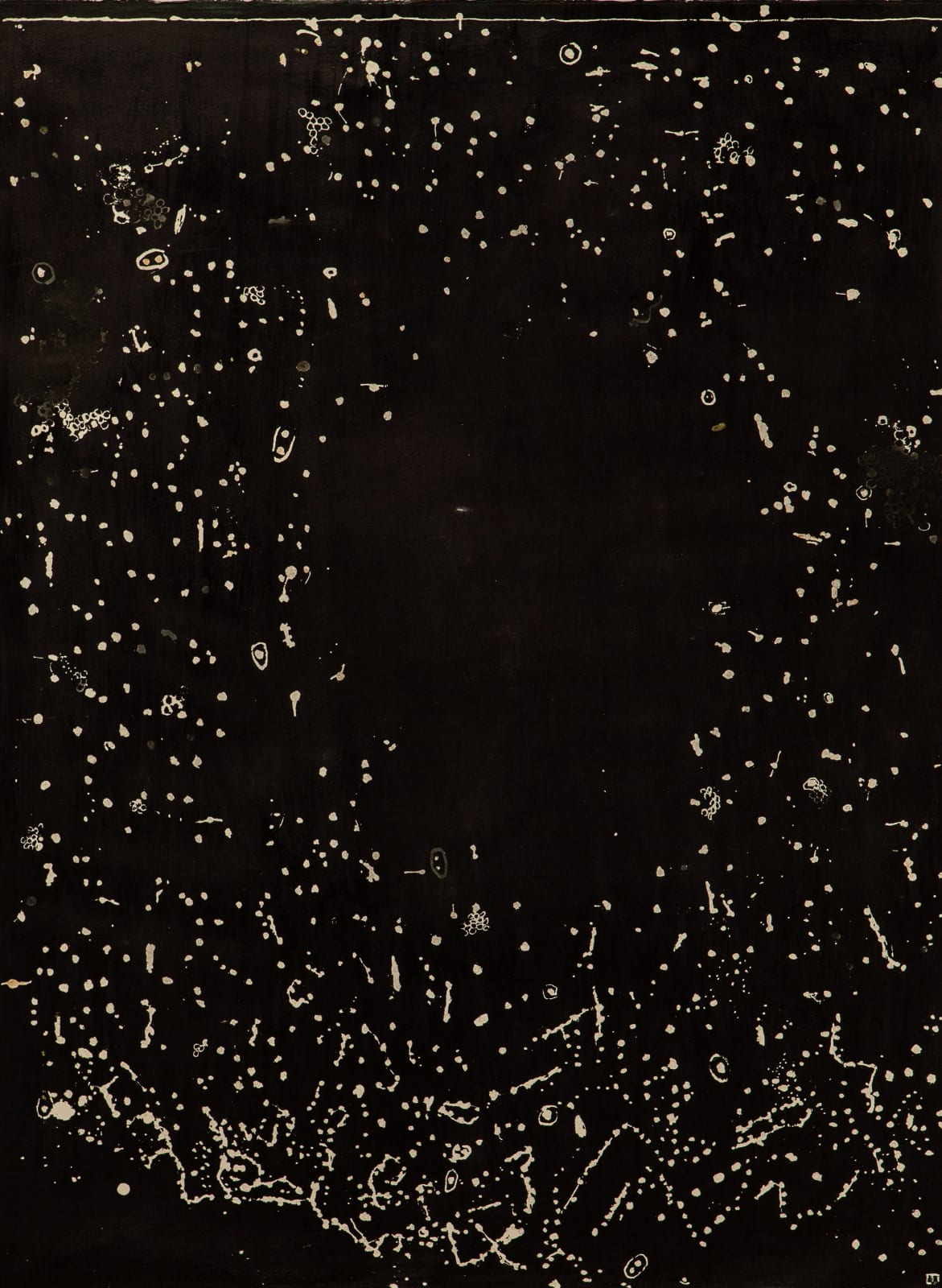 Liz Douglas Scotland