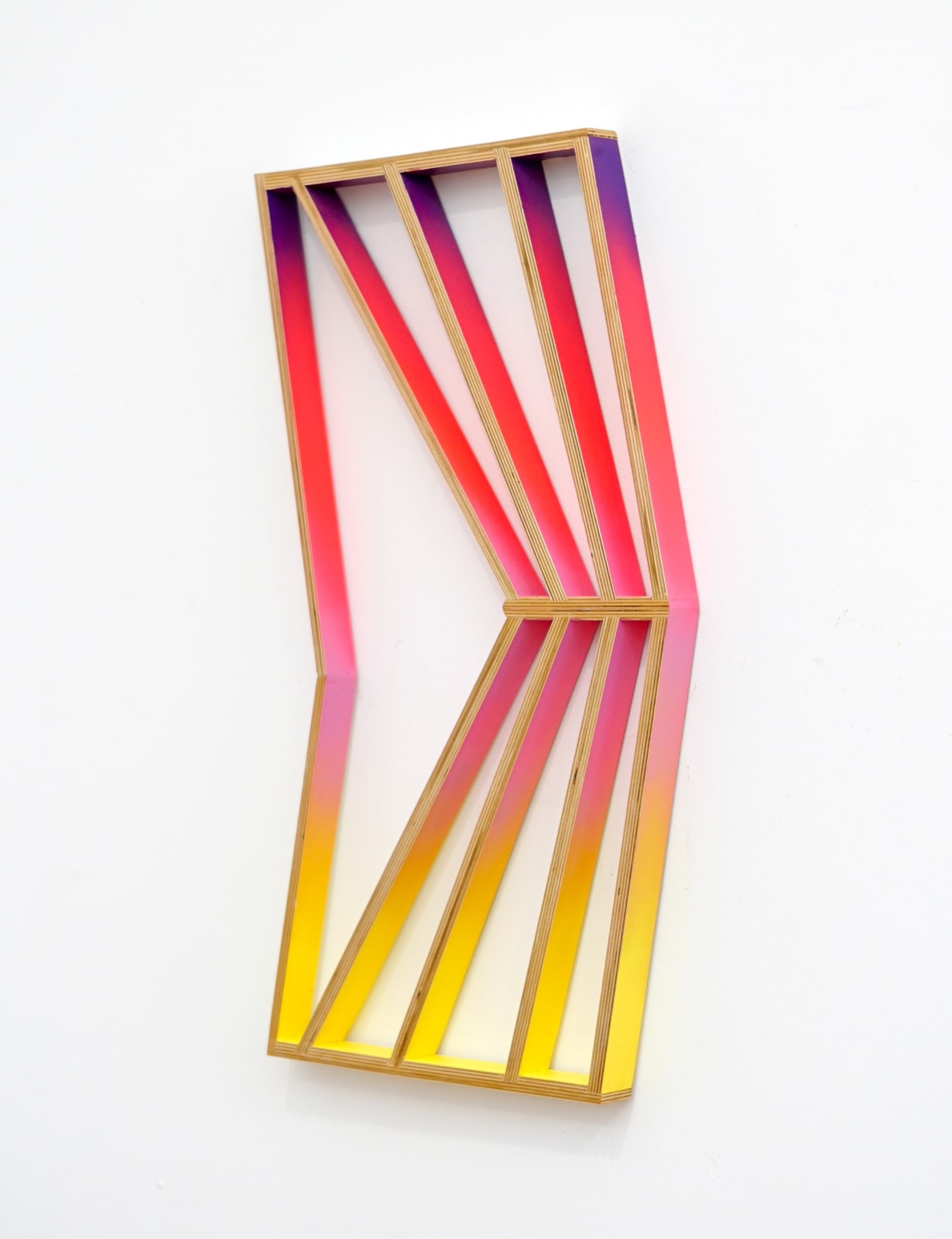 Anthony Vasquez artist