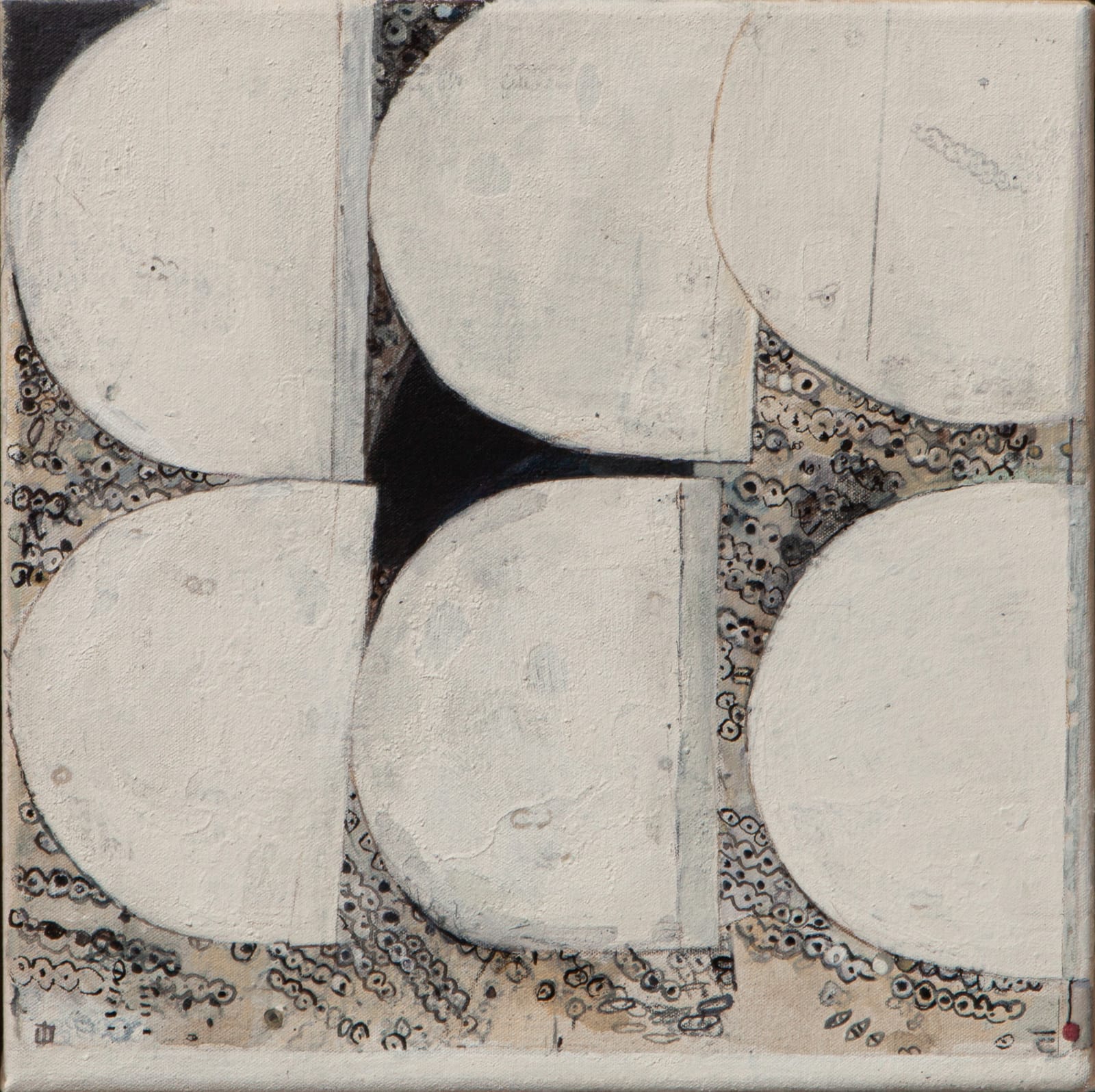 Liz Douglas Scotland