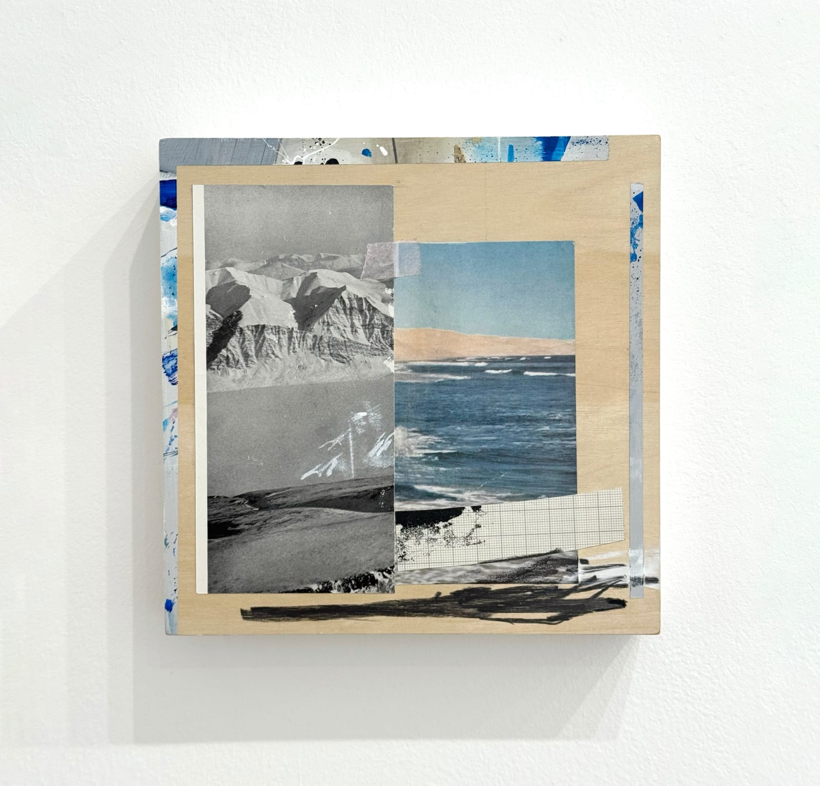 Emily Moore collage