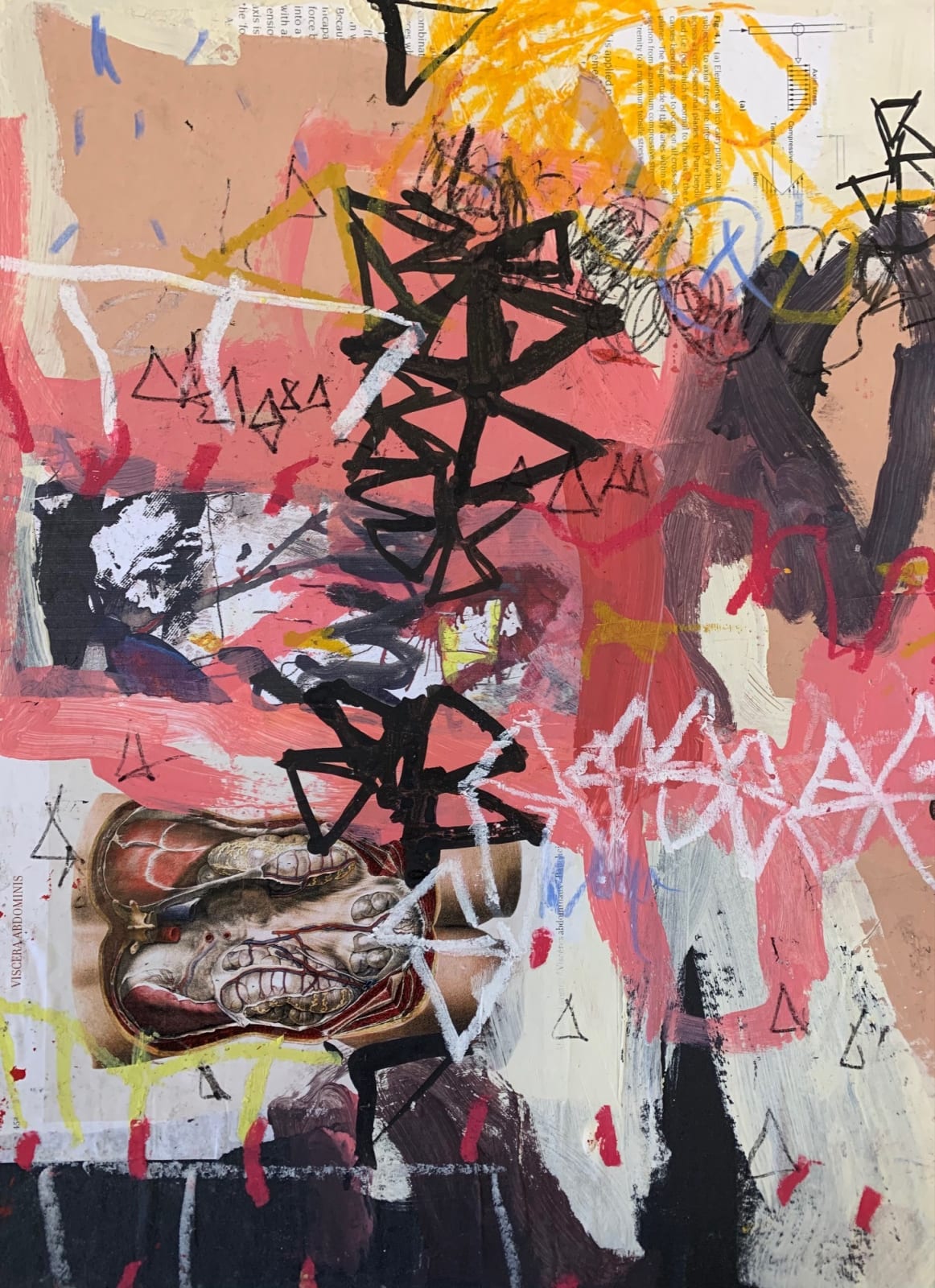 Rebecca Appleby Artist