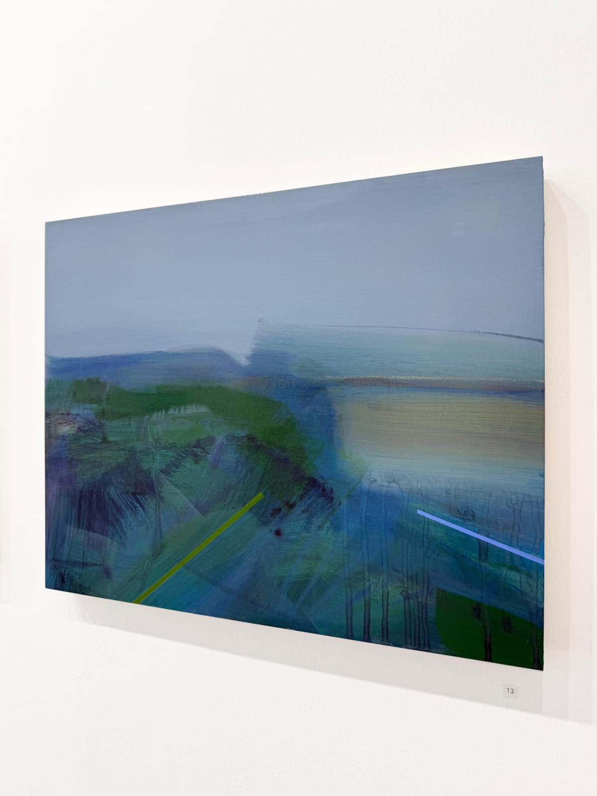 Anna Somerville Edinburgh artist